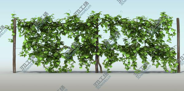 images/goods_img/20210312/Vineyard Pack/4.jpg